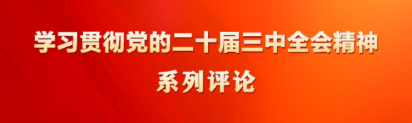 学习贯彻党的二十届三中全会精神系列评论