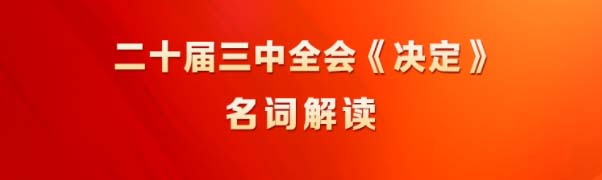 党的二十届三中全会《决定》系列名词解读