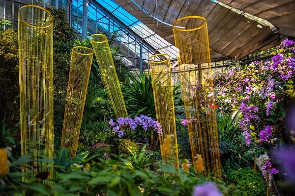 咸寧頭條咸寧人的春節限定風景武漢植物園春節賞花地圖送上約起